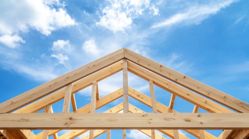 Gable Roof Framing in Conroe, TX