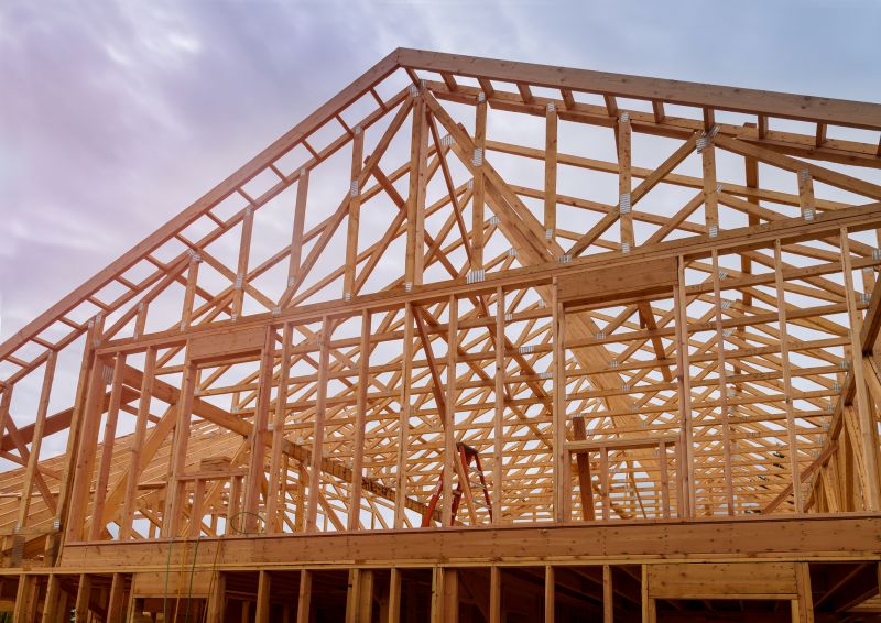 Roof Framing in Conroe, TX
